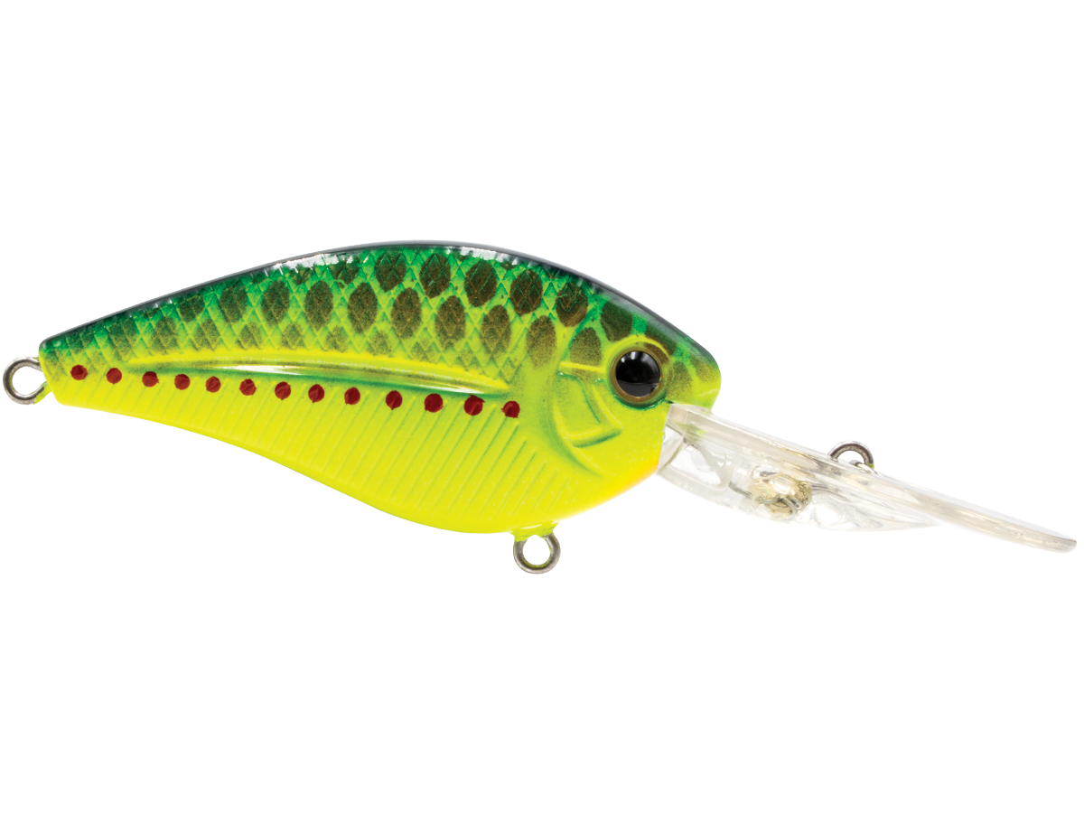 FlatMaster