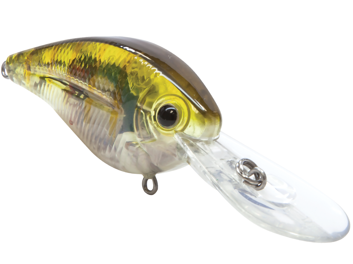 FlatMaster